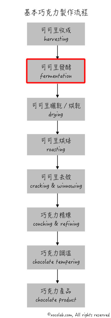 巧克力製作流程－基本