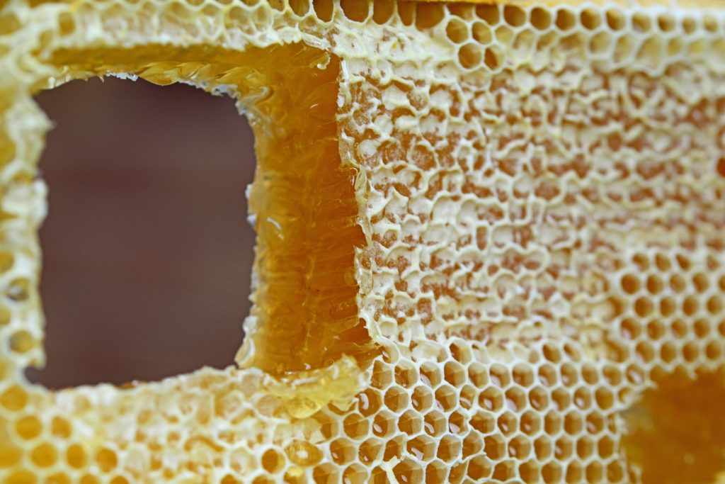 honeycomb-347558_1920