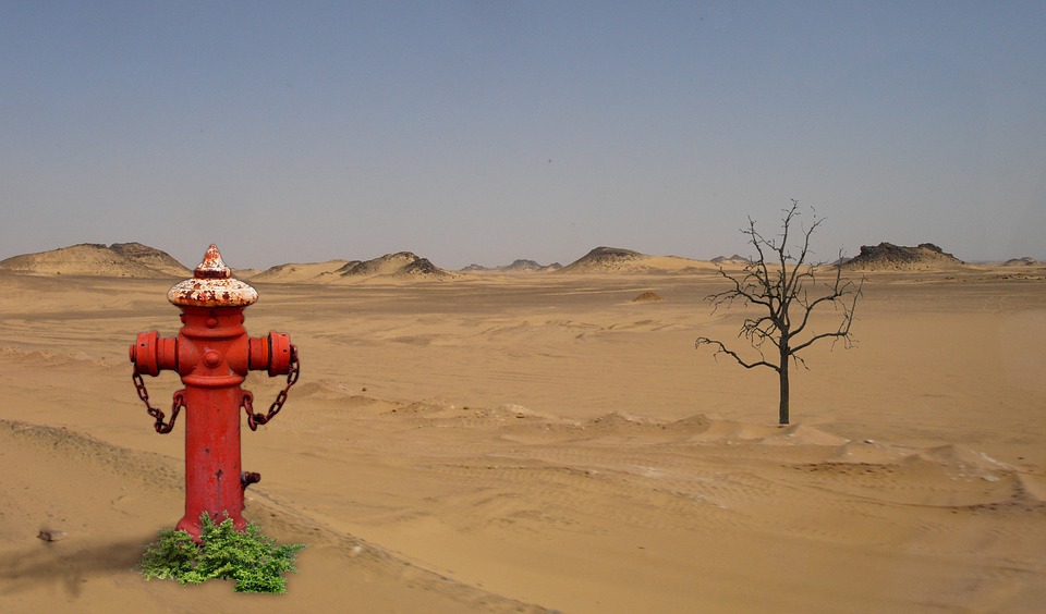 desert & fire hydrant